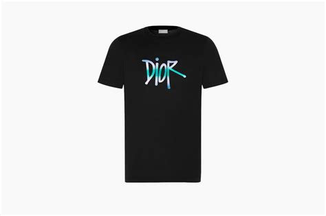 dior stussy tshirt|shawn stussy x Dior logo.